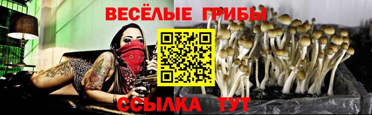 Псилоцибиновые грибы мухоморы Сочи