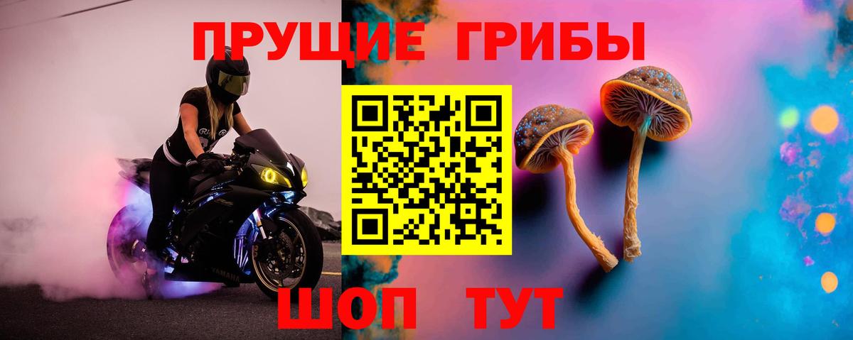 Галлюциногенные грибы Psilocybe  Вход с VPN  Сочи 
