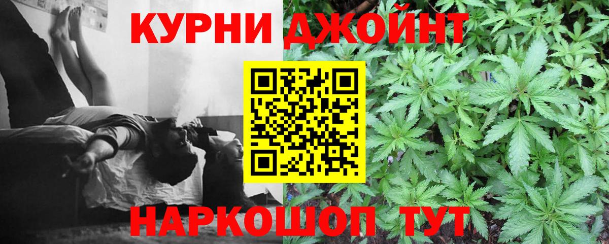 Каннабис MAZAR Сочи